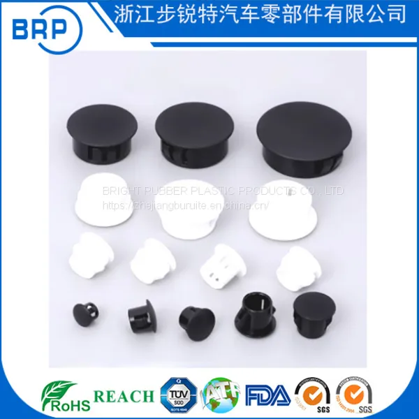 Factory Supply Plastic Plug photo-3