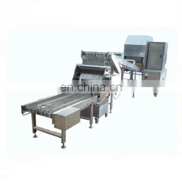 Spring Roll Wrapper Production Line