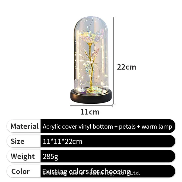 Eternal Forever Rose in Glass Dome With LED Light Gift Box for Mom Women Valentines Mothers Day Bulk photo-5