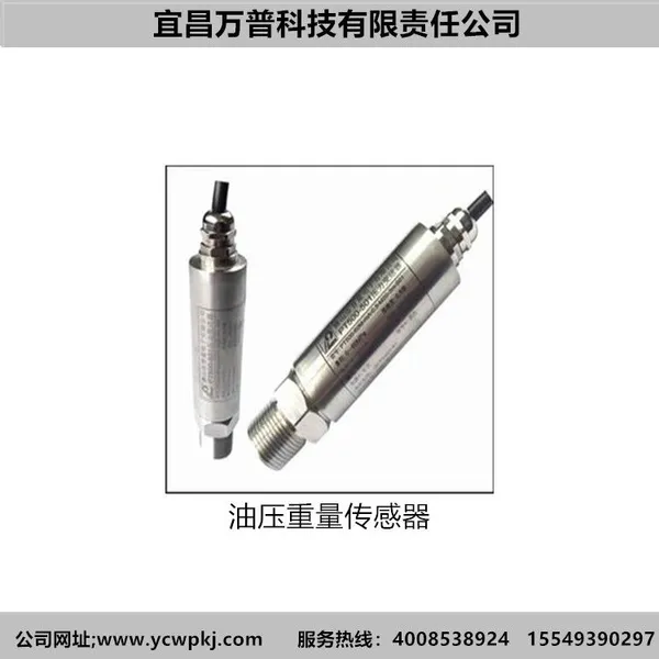 Wanpu Technology Tlx58c Rugged Terrain Crane Load Limiter Supplier photo-4