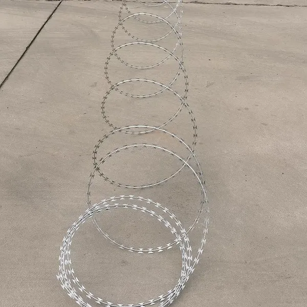 Factory Sale Razor Barbed Wire Stainless Steel Razor Wire for Anti-climbing Anti-theft Protection photo-5