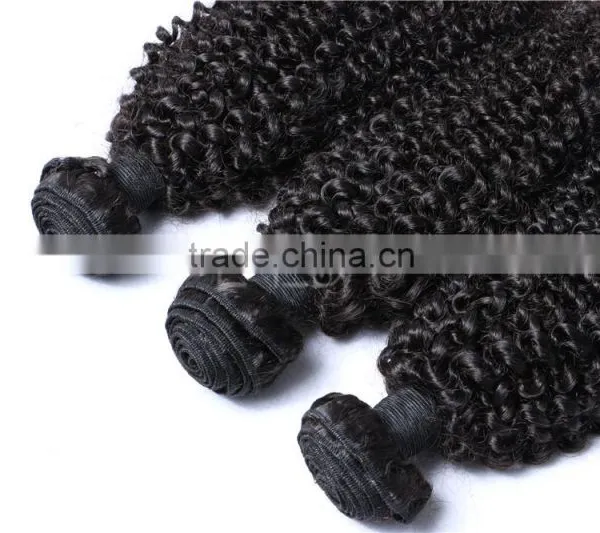 Kinky Twists Peruvian Virgin Hair, Afro Kinky Curly Human Hair Weave Supplier's Choice
