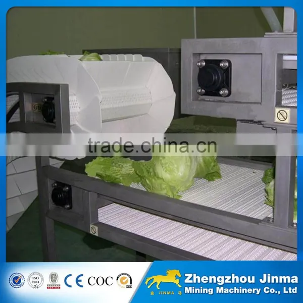 Variable speed motor vegetable belt conveyor for sale