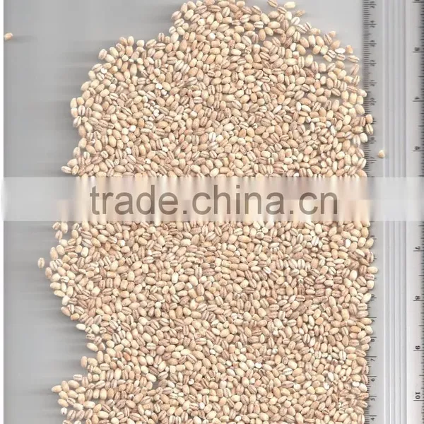 PEARL BARLEY