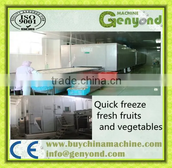 SSD IQF Tunnel Quick Freezer