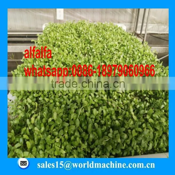 WHIR Saudi Arabia With SASO Certificate Hydroponic Hydroponics Cultivation for Growing Fodder Grass,barley,wheat photo-4