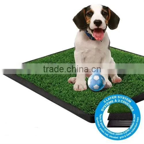 2016 Pet Potty photo-2