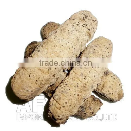 Dried Sea Cucumber Vietnam, Curry Fish, Stichopus Hermanni photo-3