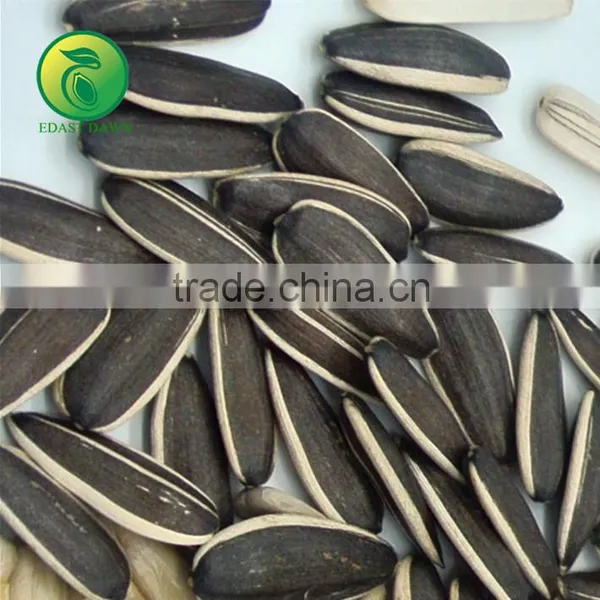 NON GMO Sunflower Seeds/Sunflower Seeds Kernel/Salted Sunflower Seeds photo-2