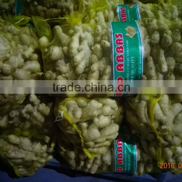 Chinese Fresh Ginger photo-3
