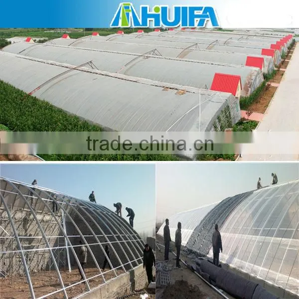 Agricultural Solar Greenhouse For Sale photo-6