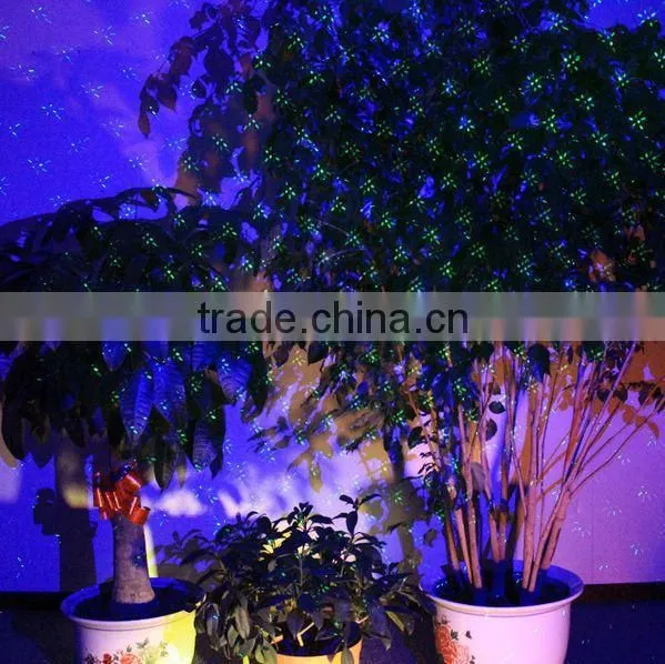 Outdoor Landscape Laser Light/waterproof Garden Laser Lighting photo-3