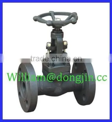 ANSI FORGED STEEL Flange End Globe Valve CL900-CL1500 NPS 1/4"-2"