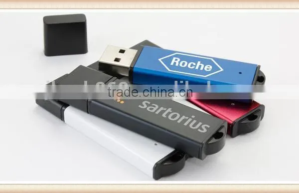 Hot Sale Plastic Lighter Shape 2gb Usb Disk photo-2