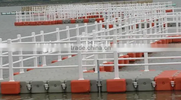 Rotational Shuttles Production Pontoon photo-2