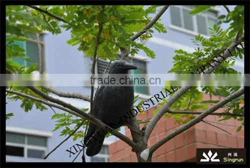 2015 China Singrun New Bird Crow Decoys for Garden Hunting photo-4