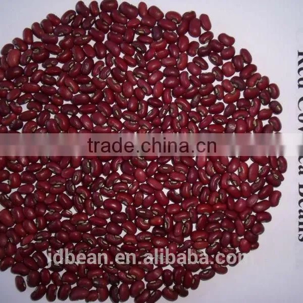 Crop 2015 New Crop Red Cowpea Beans photo-6