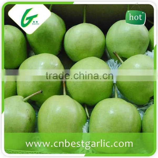 Cheap Bulk su Pear photo-2