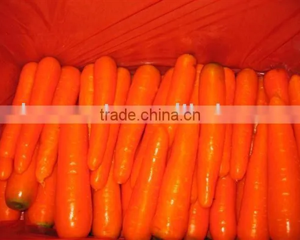 Fresh Carrot