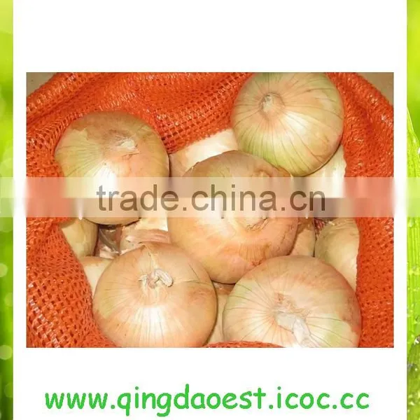 Best Quality Fresh Onion From China photo-5