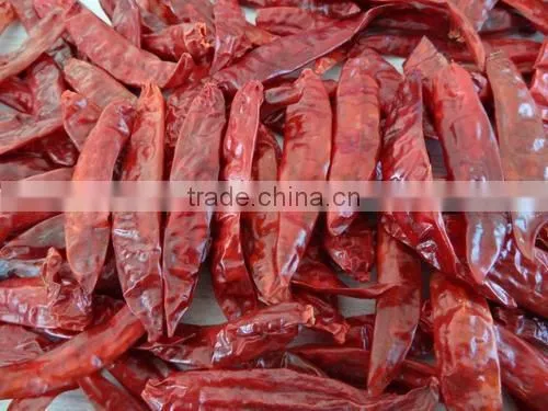 Exporters of Indian Sannam-S-4/334 Red Chilli Premium Grade photo-2