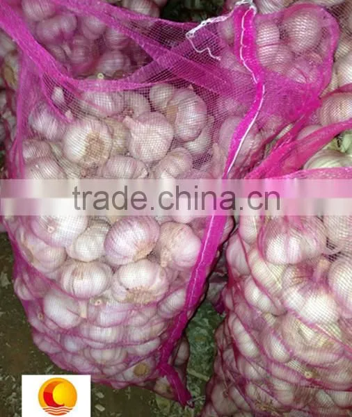 Certificated HACCP HALAL Exported Fresh Garlic White Garlic photo-2