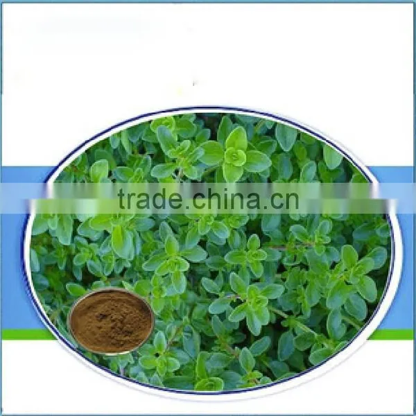 Factory Supply 100% Natural Thyme Extract Thymol Powder From Plant Extract in China