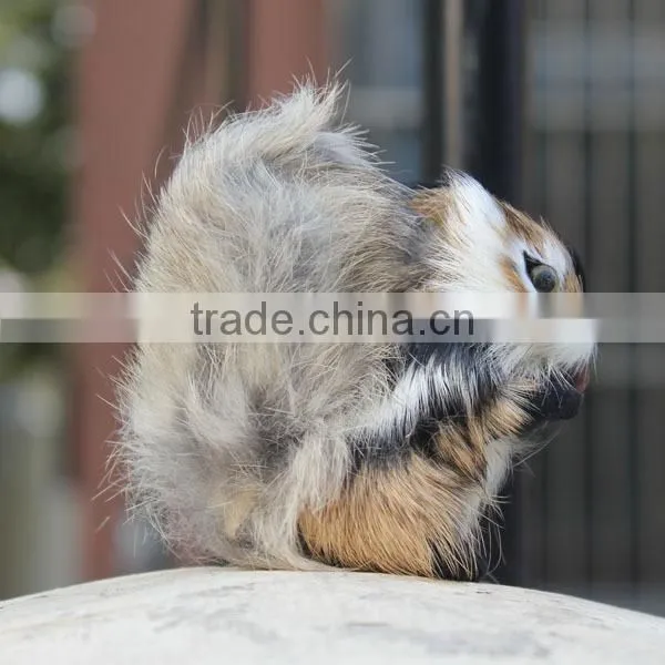 6 Inch Plastic Toy Squirrel photo-5