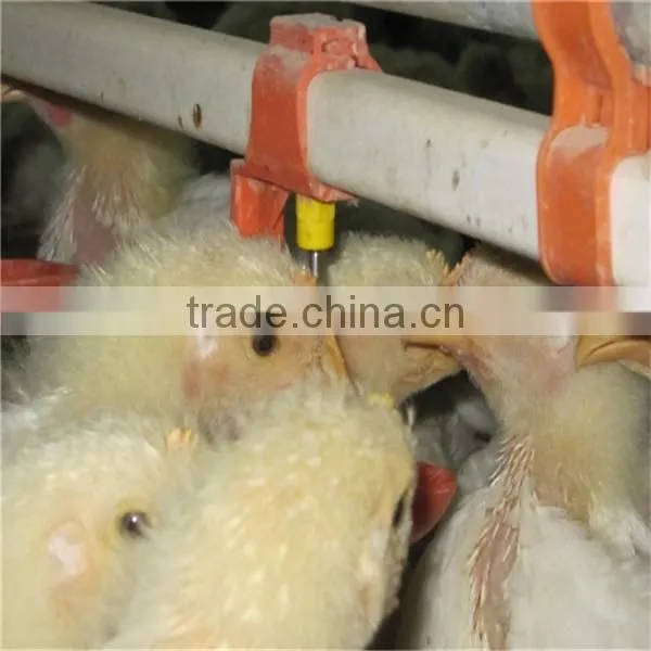 Poultry Automatic Drinker