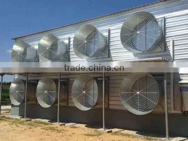 Broiler Poultry Farm Design photo-3