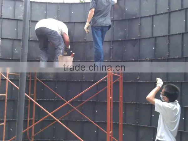 Power Biogas Plant for Generating Electricity photo-3