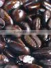 Vietnam's Specialty Coffee - Weasel Aroma (or Civet - Enzymed or Kopi Luwak) Roasted Coffee Beans.