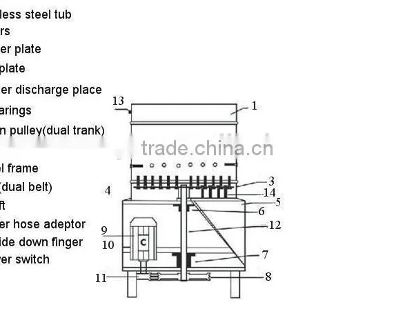 30s Fast Feather Removing Automatic Poultry Chicken Plucker Machine photo-5