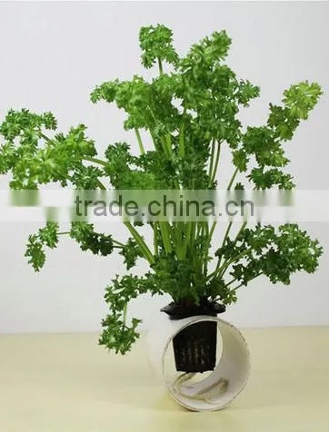 High Quality Hydroponic Net Pot,hydroponic Stacking Pot photo-2