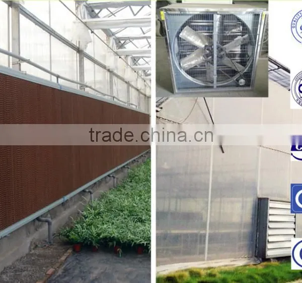 Polycarbonate Greenhouses China photo-3