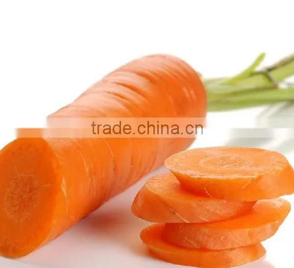 Fruit Onion Dicer Machine photo-5