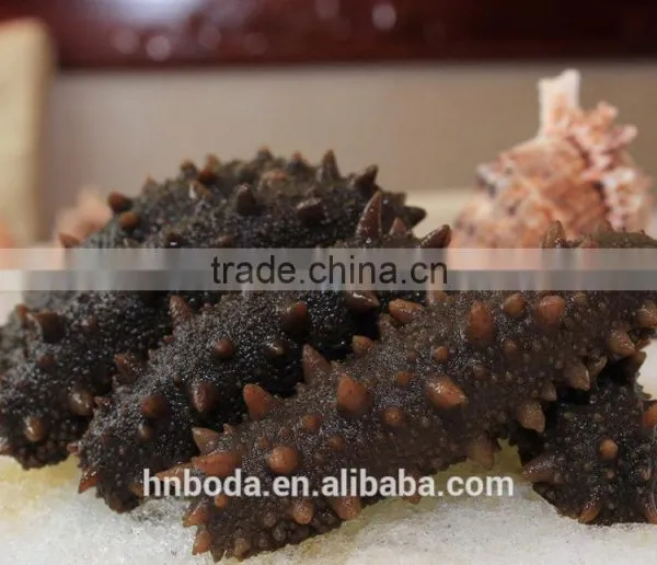 Tunnel Conveyor Belt Sterilizer Seaweed Dryer photo-2