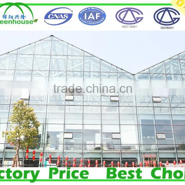 Used Commercial Glass Greenhouse for Sale photo-2