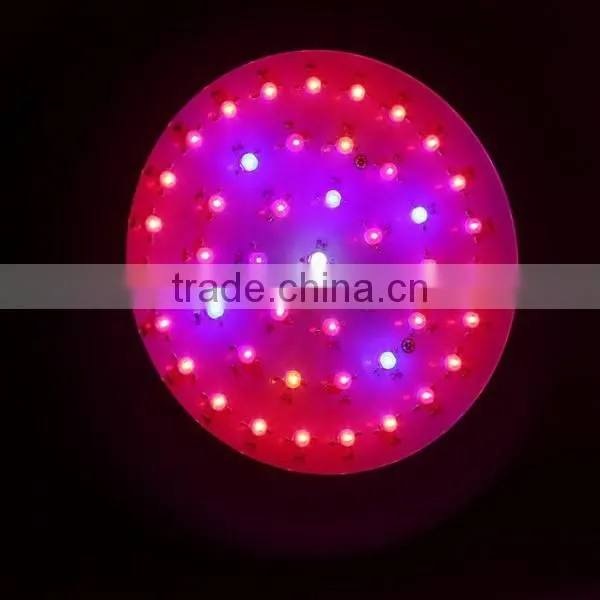 120w Cheapest Led Growing Light for Horticulture Shop photo-5