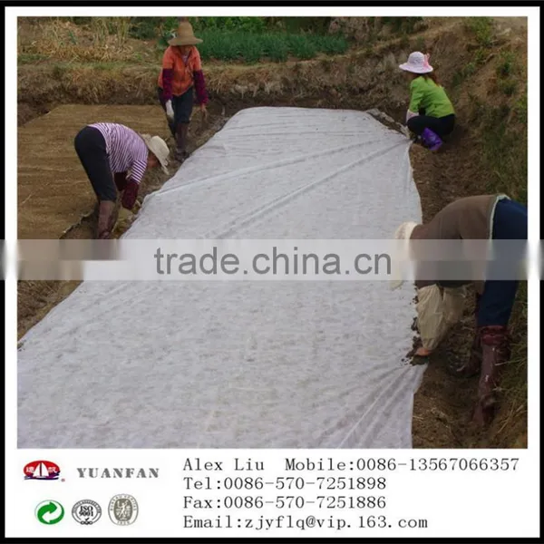 [ Factory Supply ] S / SS Spunbond Agriculture Nonwoven Cover Fabric for Ground Cover / Plant Cover photo-5