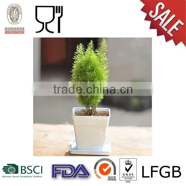 Square Plastic Flower Pot White Color