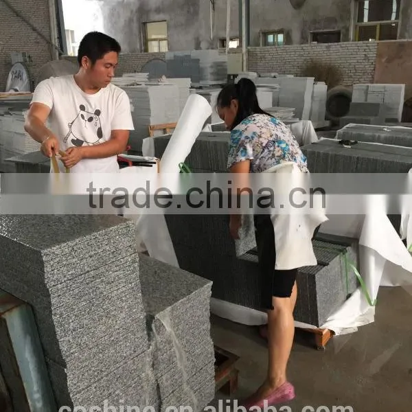 Jianfa Stone Factory Produced Flamed G687 Granite Veneer Panels up 15 Years photo-4