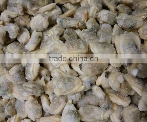 Dandong Taihua Cooked Baby Clam Without Shell for Export photo-3