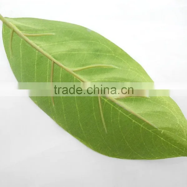 Indoor Christmas Flower Foliage Plant photo-5