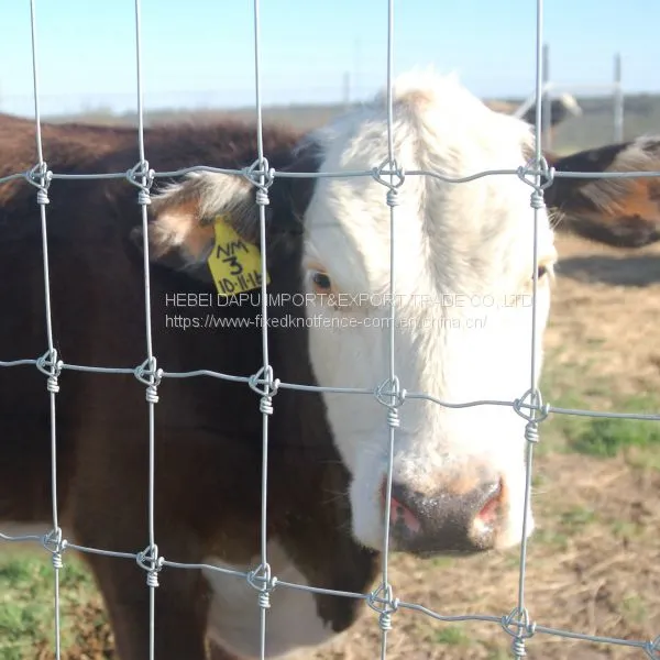 Hot Dip Zinc Coating Fixed Knot Cattle Fence Mesh
