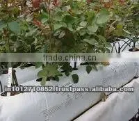 PLANT GROWBAGS photo-3