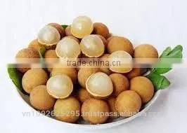 Longan Fruit photo-2