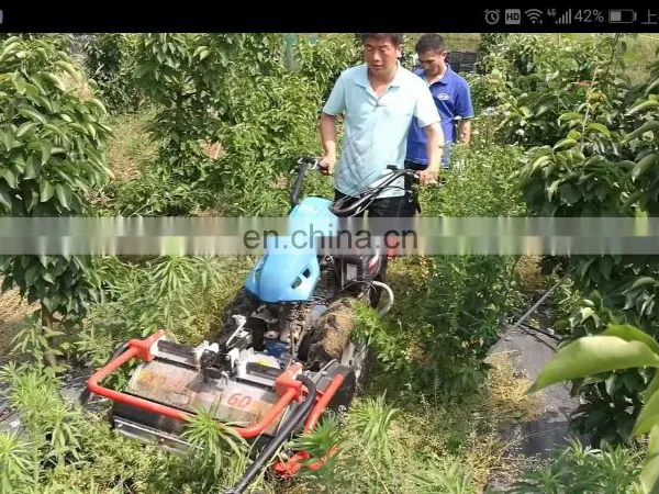 High Quality Italy Brand BCS Rotary Cultivator BCS Mini Power Tiller Implement Single Rotor Blanderunner 60cm photo-3