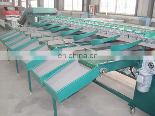 Factory Passion Fruit Roots Citrus Apple Processing Avocado Onion Size Grader Sorter Grading Sorting Machine photo-2