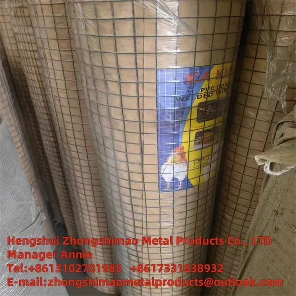Galvanized Wire Mesh  photo-2